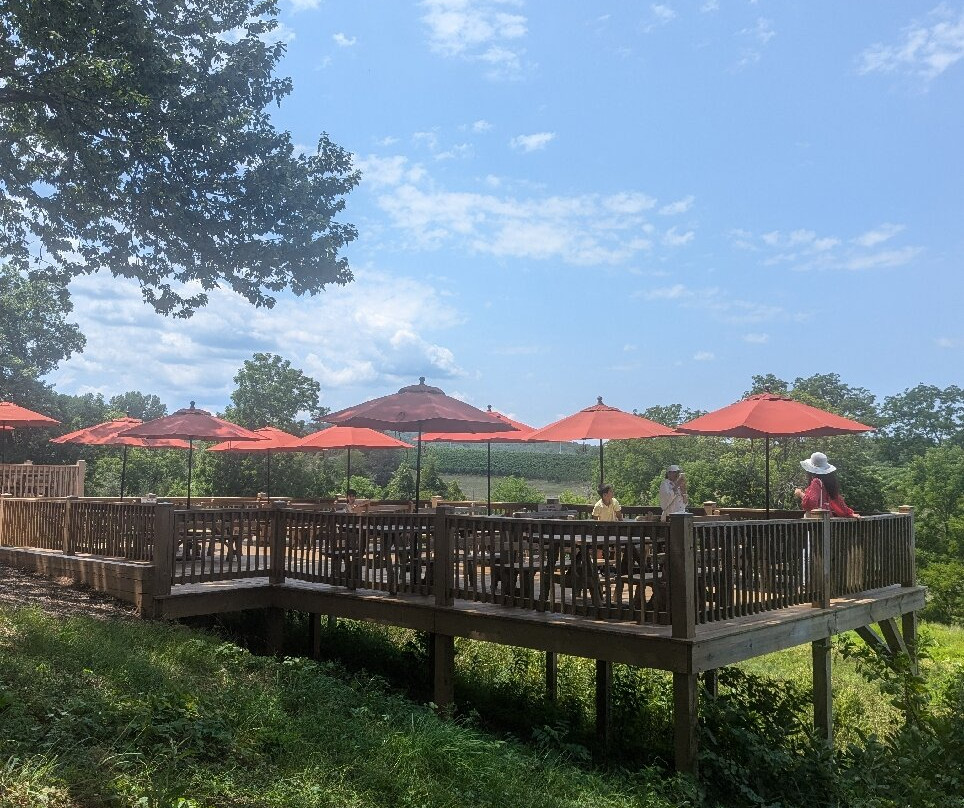 Barboursville Vineyards and Historic Ruins景点图片