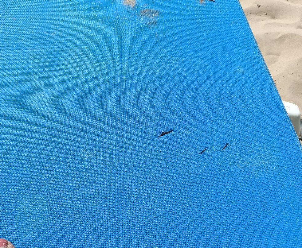 Les Pieds Dans Le Sable