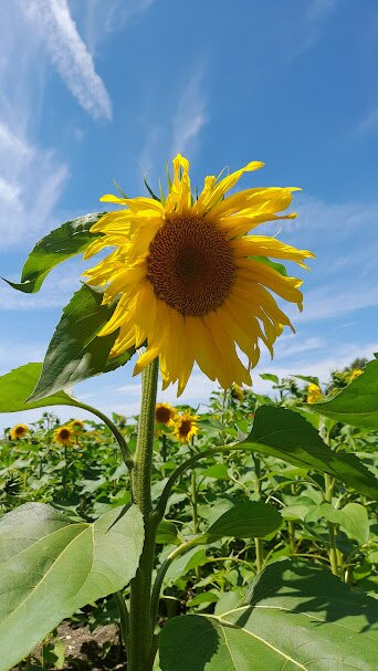 Abbaye du Val d'Igny-Arcis-le-Ponsart必去景点