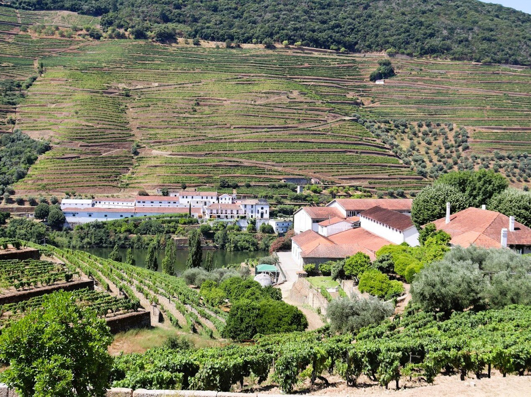 Quinta da Roeda-Pinhao必去景点