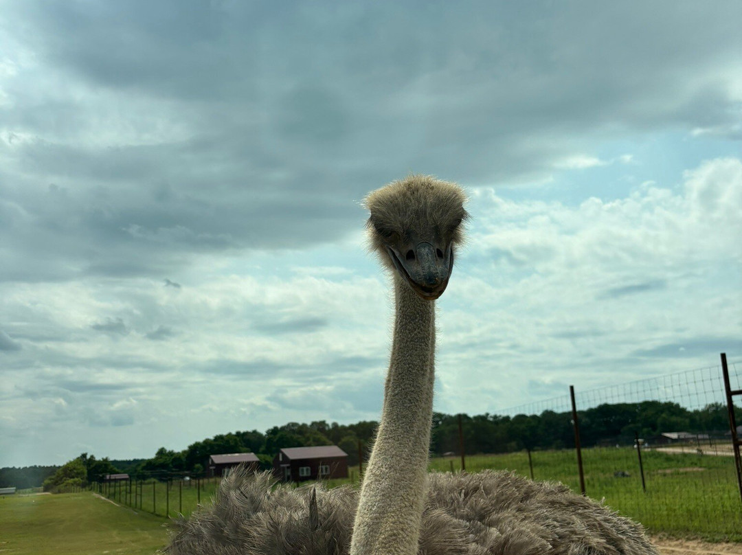 Shamba Safari-Neshkoro必去景点