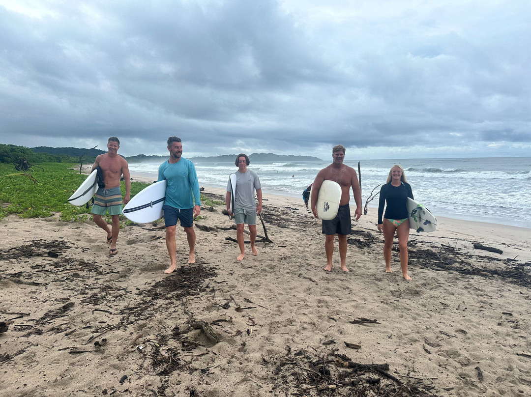 The Gilded Iguana Surf Club景点图片