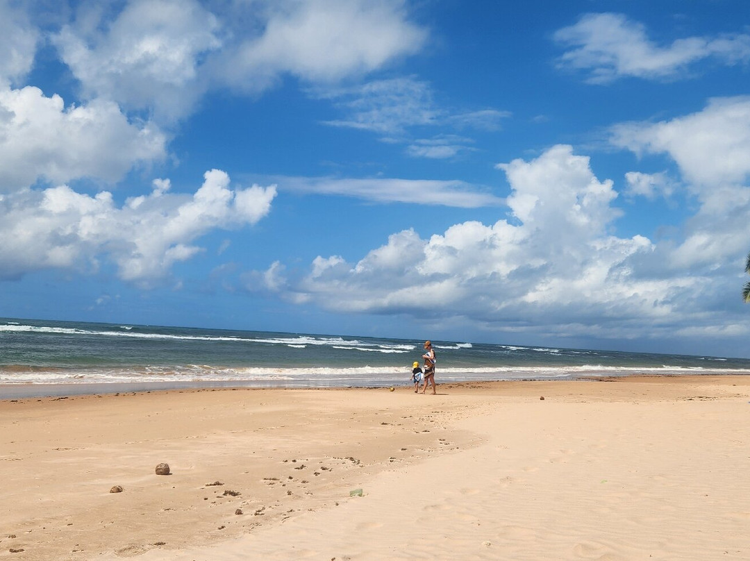 Algodoes Beach-Barra Grande必去景点