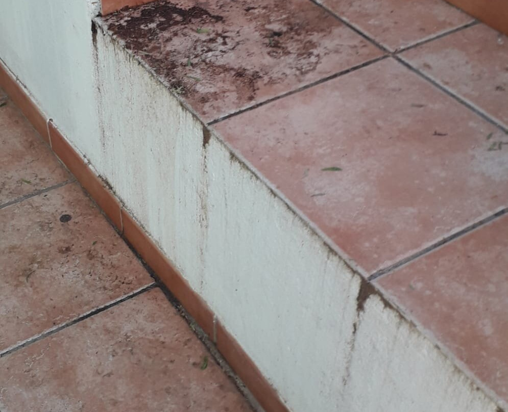 I Giardini di Atena主图