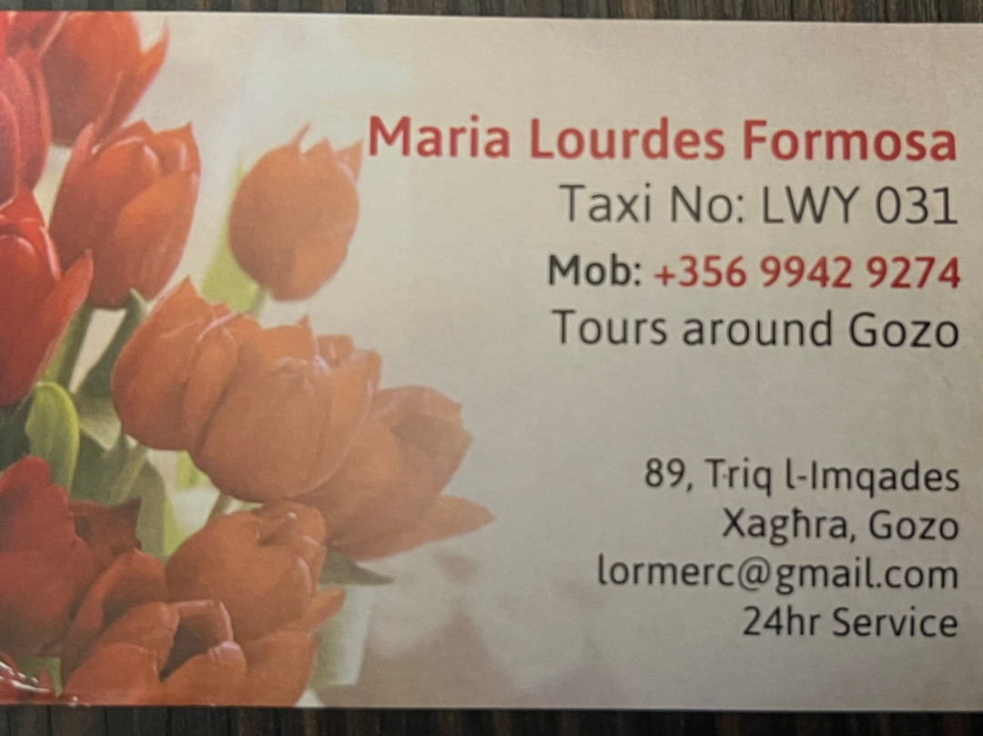 Gozo Taxi Service-Victoria必去景点