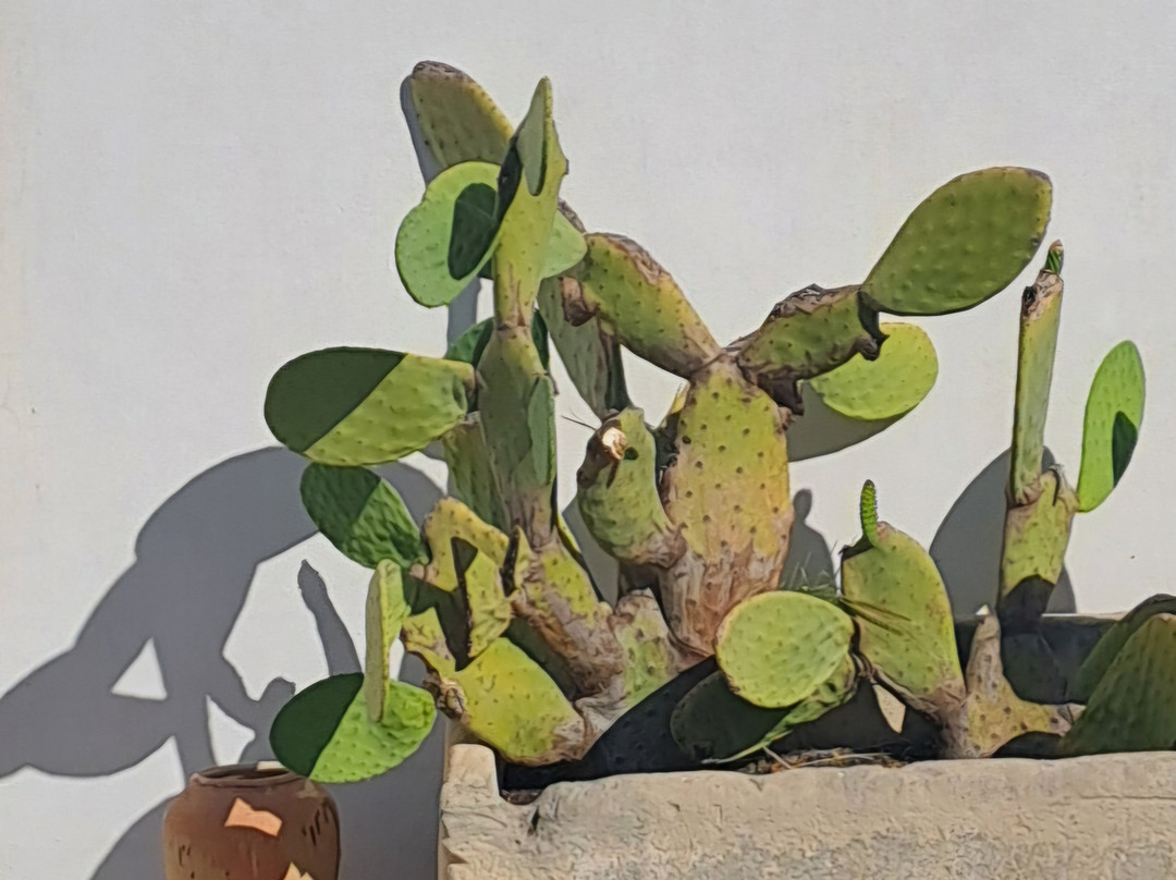 Masseria Carignani主图