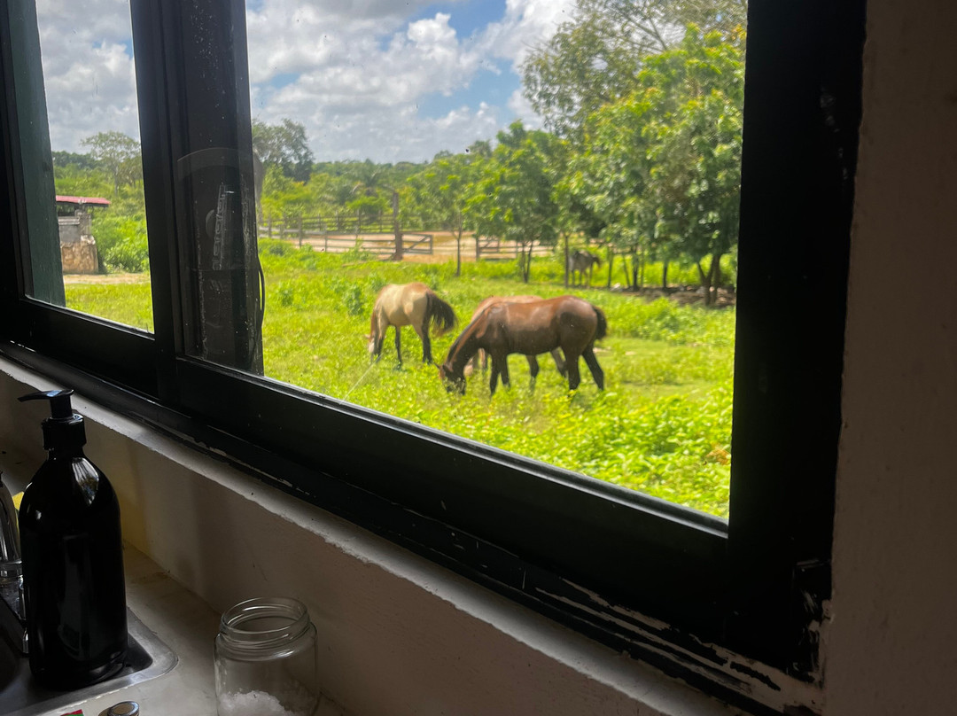 Rancho Kuxtal-Tizimin必去景点