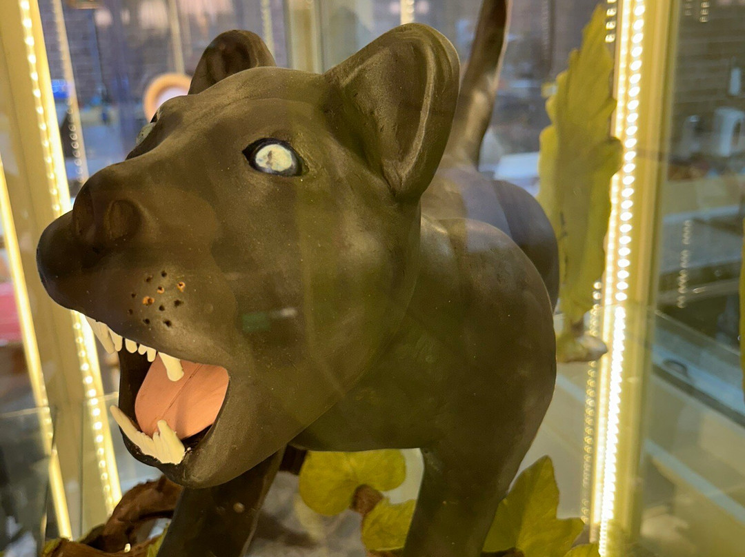 Villa Cocoa-San Sebastian del Oeste必去景点