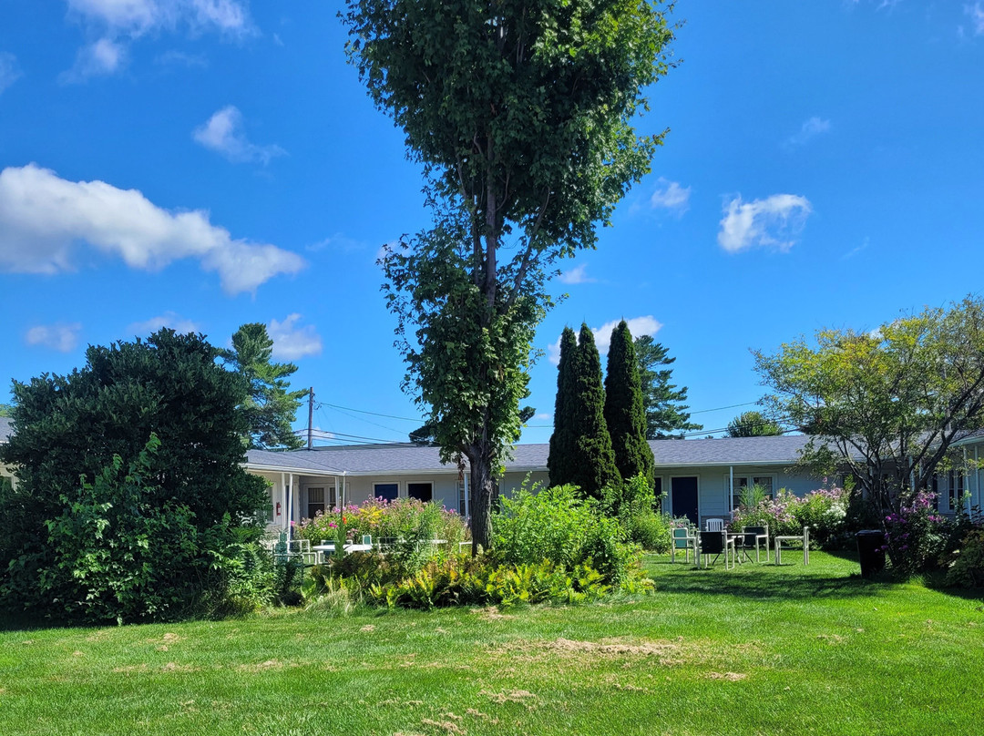 Dell Creek Motel主图