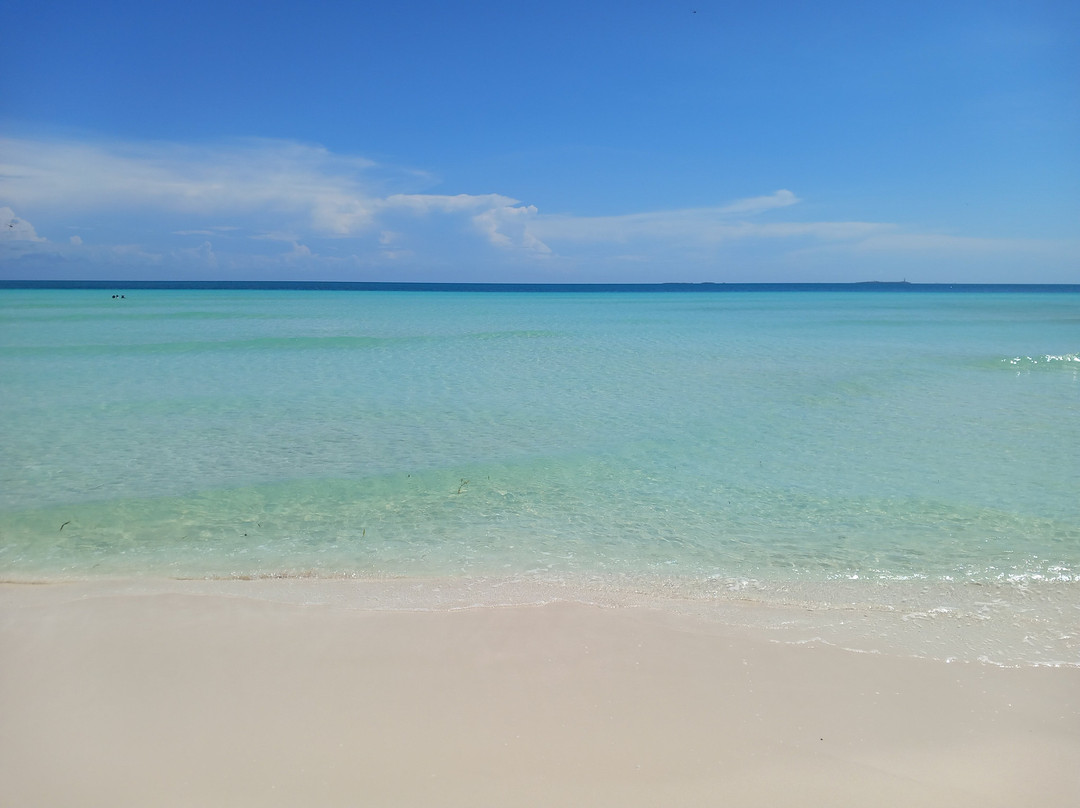 Playa Las Gaviotas景点图片