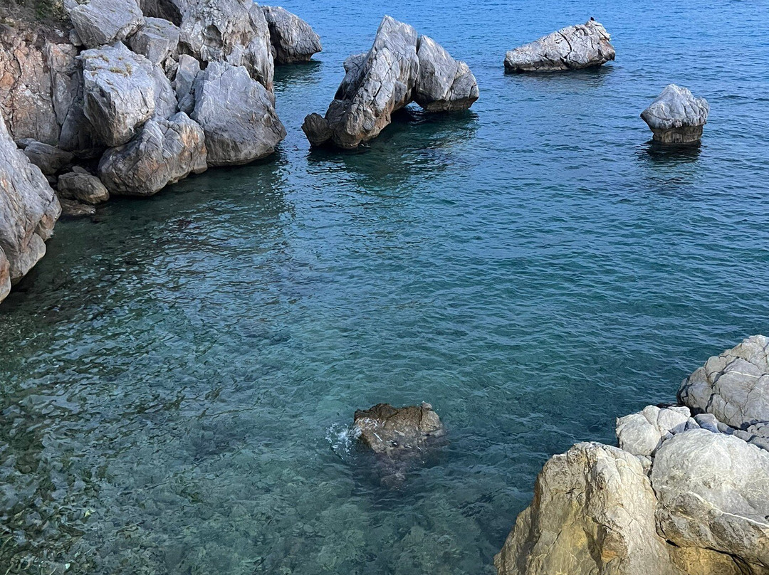 Villa Stasa Sea Bar景点图片