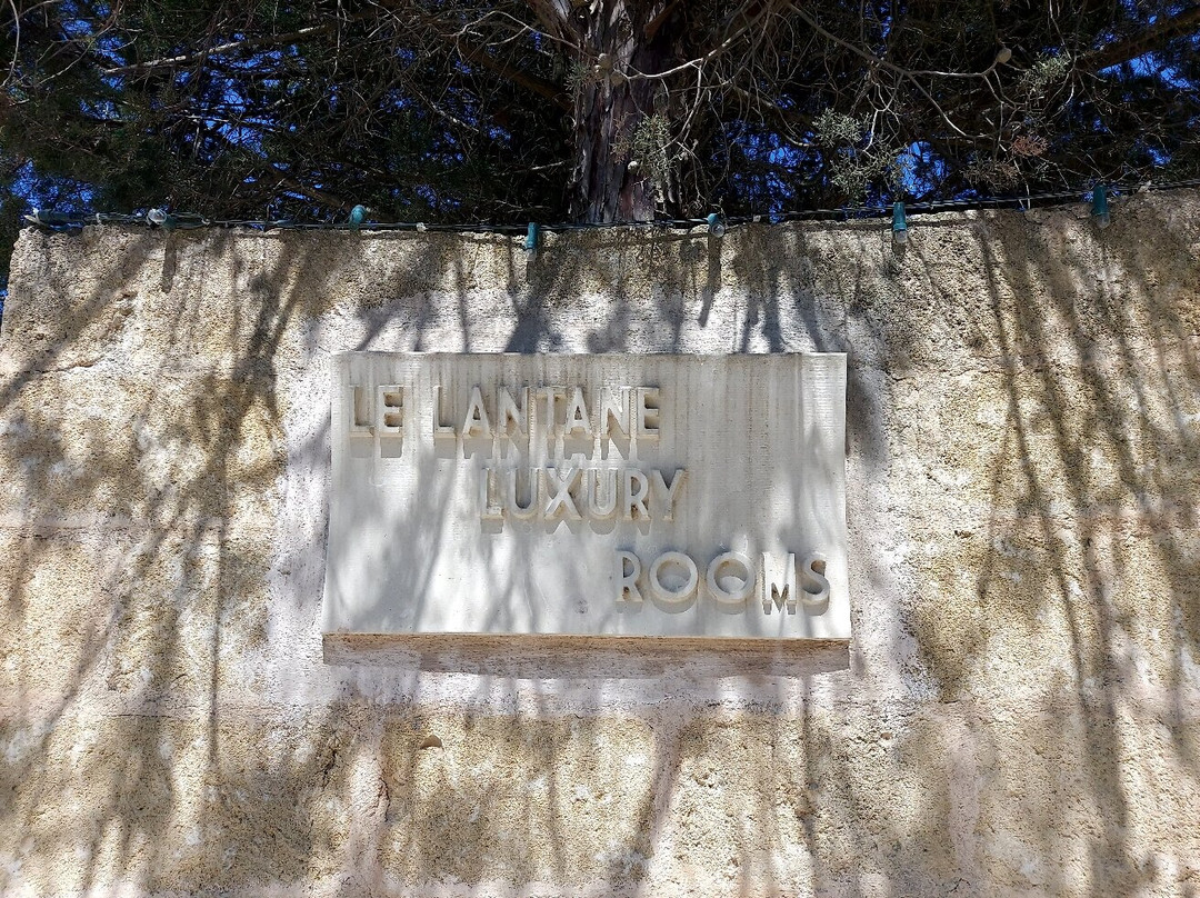 Le Lantane主图