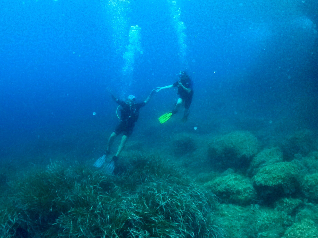Barracuda diving-Nerano必去景点