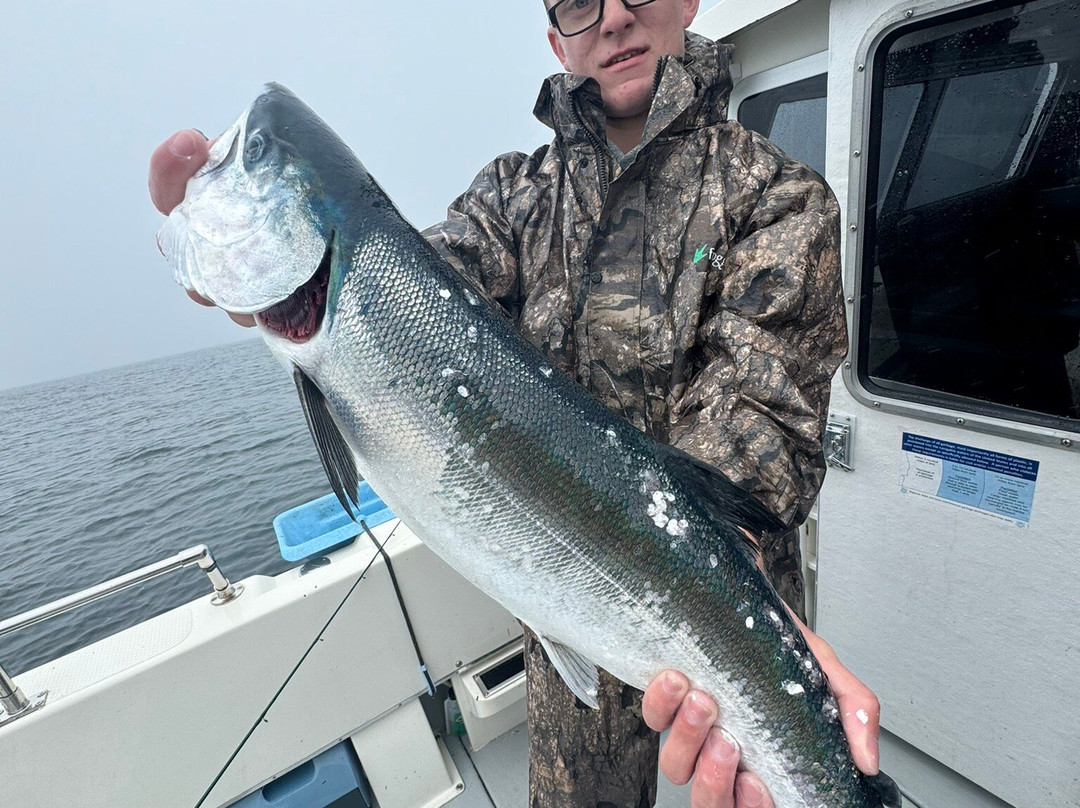 Jamestown Bay Bed and Breakfast主图