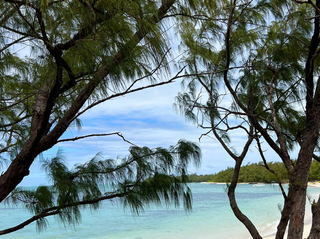 Catamaran Cruises Mauritius-马喜埔必去景点