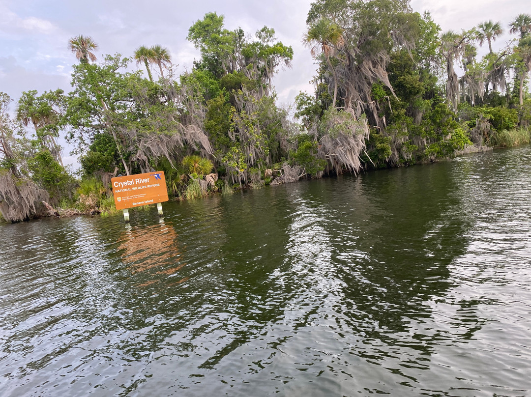 "See Crystal River" - Wildlife Sightseeing Boat Tours