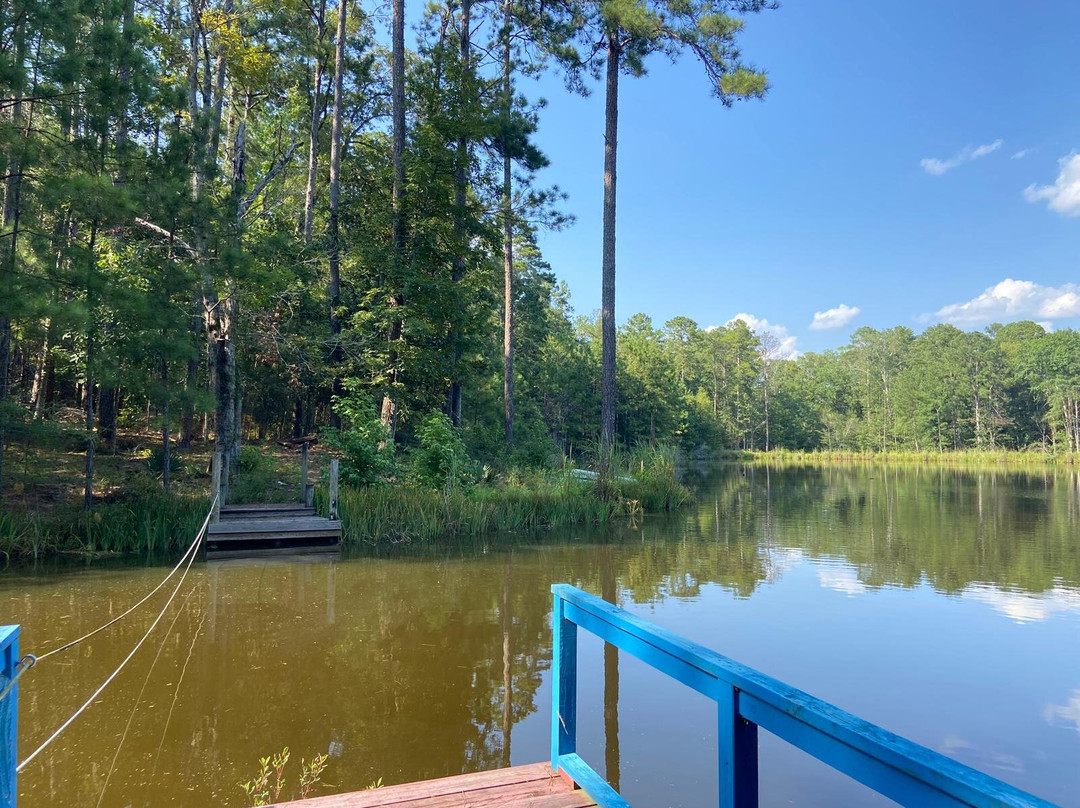 Rosemont Plantation-Woodville必去景点