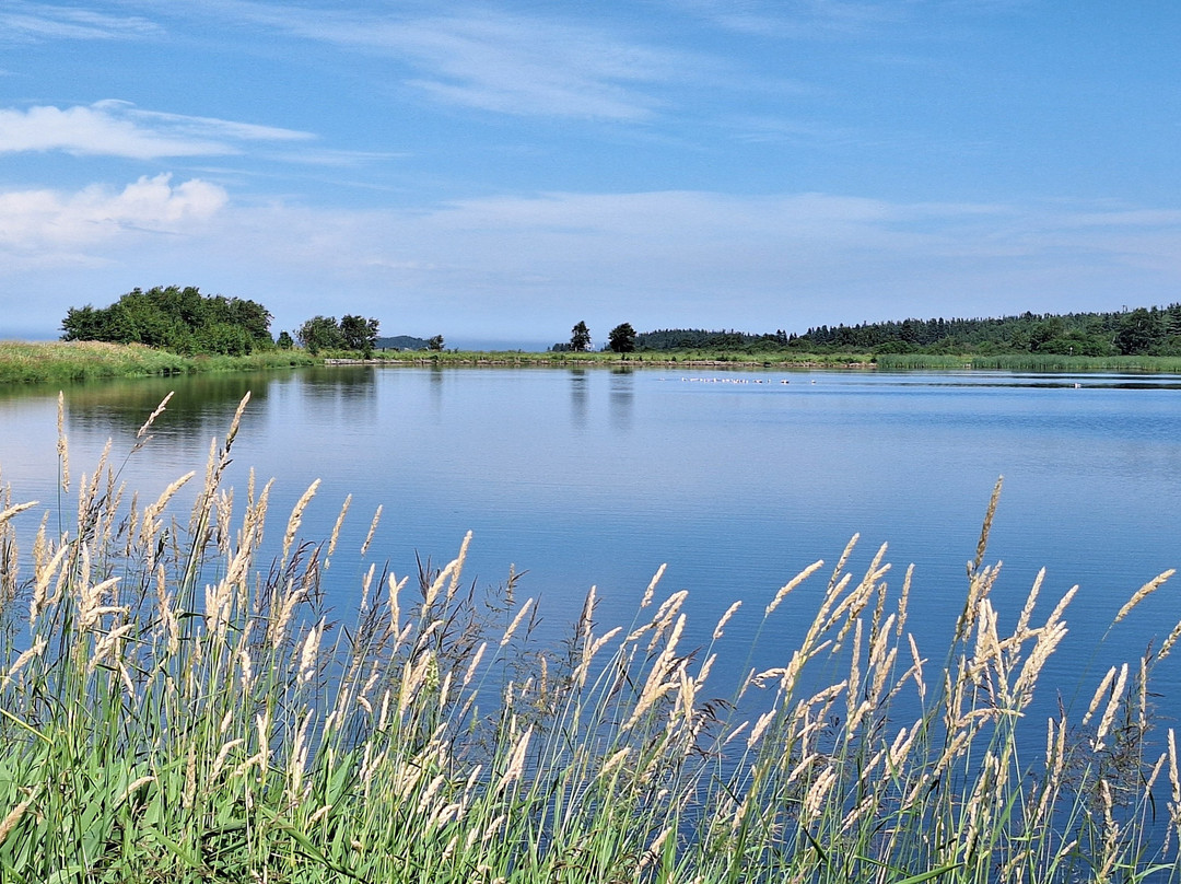 Parc Côtier Kiskotuk - Enr 627586-Riviere du Loup必去景点
