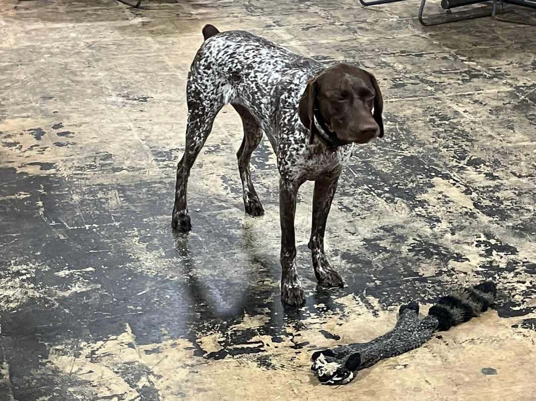 The Milton Artists' Guild-Milton必去景点