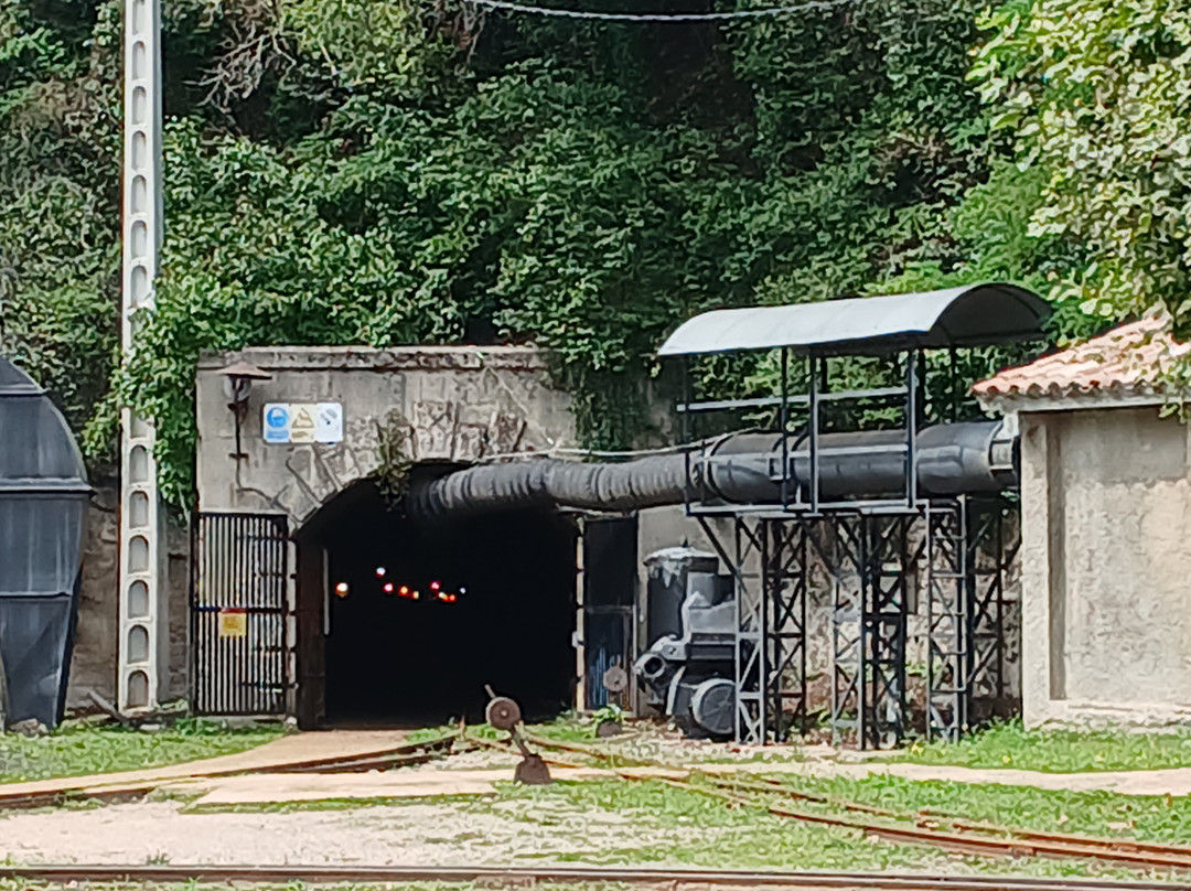 Museo Mines de Cercs景点图片