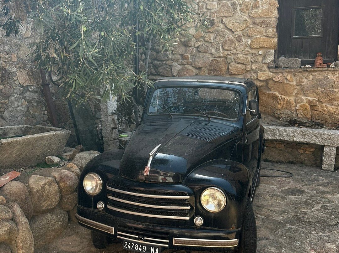 Museo del Coltello Sardo-阿尔布斯必去景点