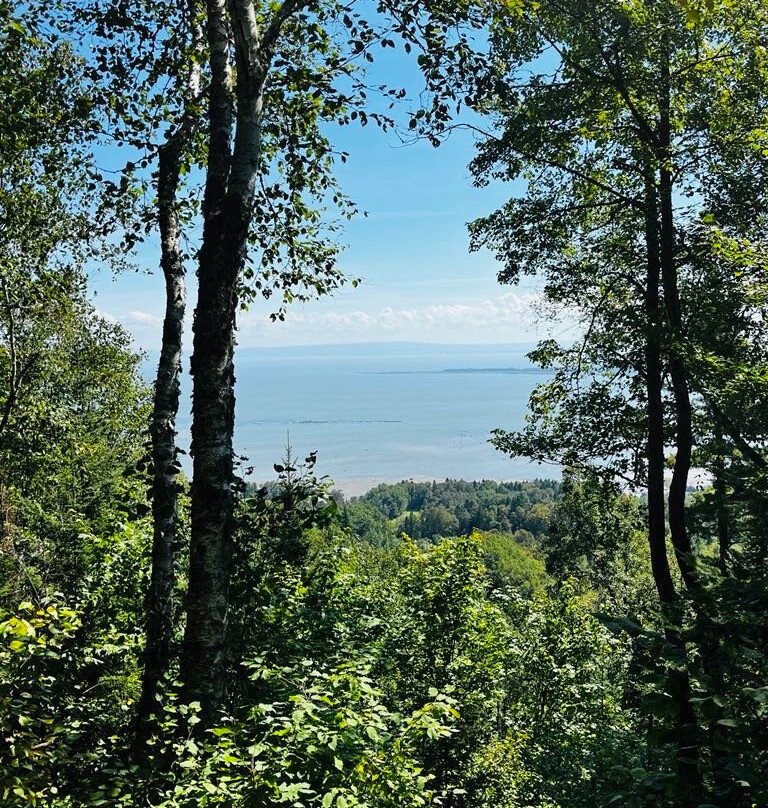 Sentier De La Forêt Marine-Saint-Joseph-de-la-Rive必去景点