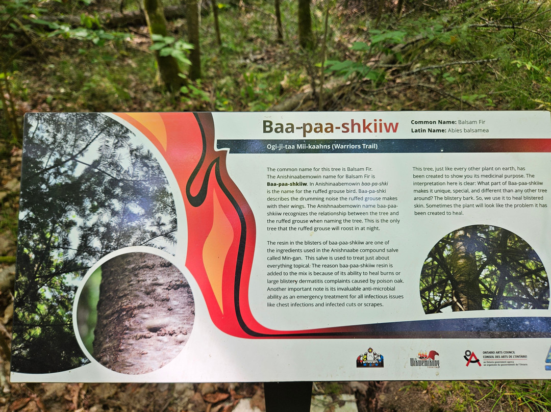 Bebamikawe Memorial Trail景点图片