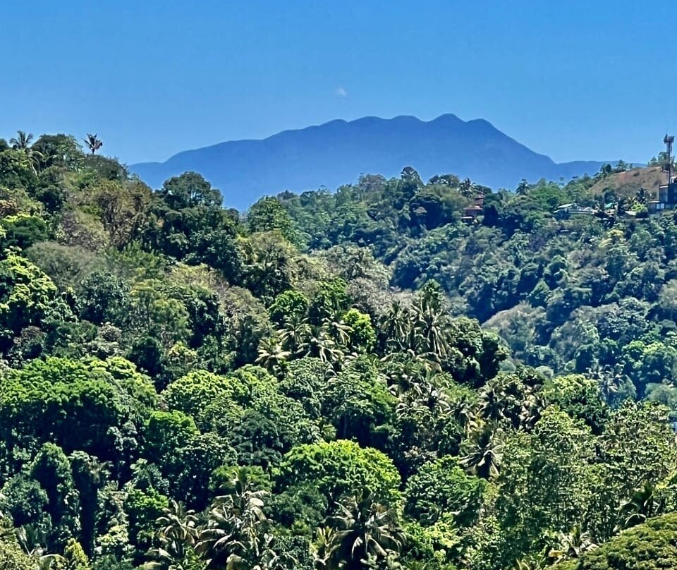 Kandy Swing Onchillah景点图片