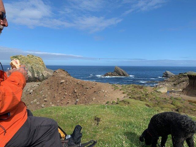Shetland Sea Adventures景点图片