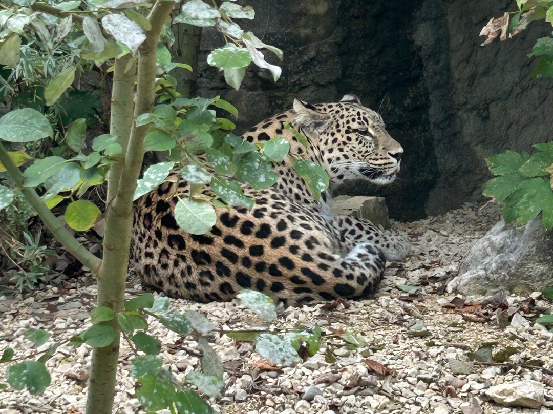 Tierpark Bern-伯尔尼必去景点