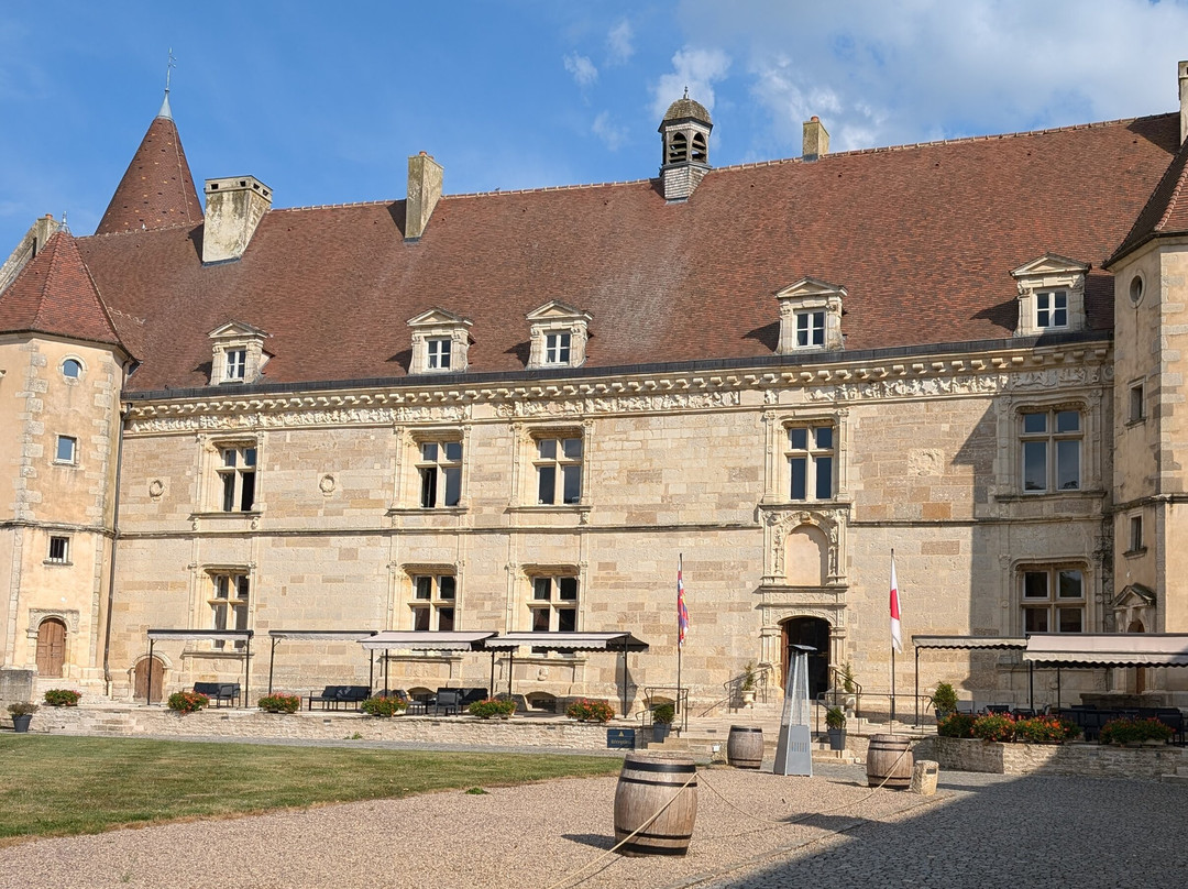 Hôtel Golf Château de Chailly主图