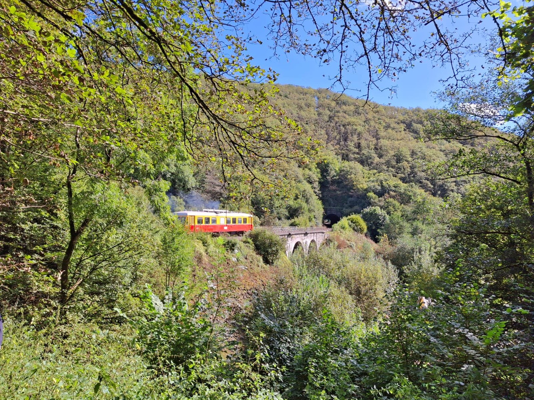 Le Chemin de Fer du Bocq景点图片