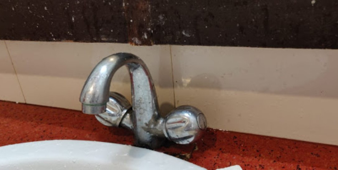 Hotel Daffodil主图