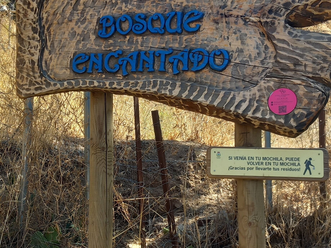 El Bosque Encantado景点图片