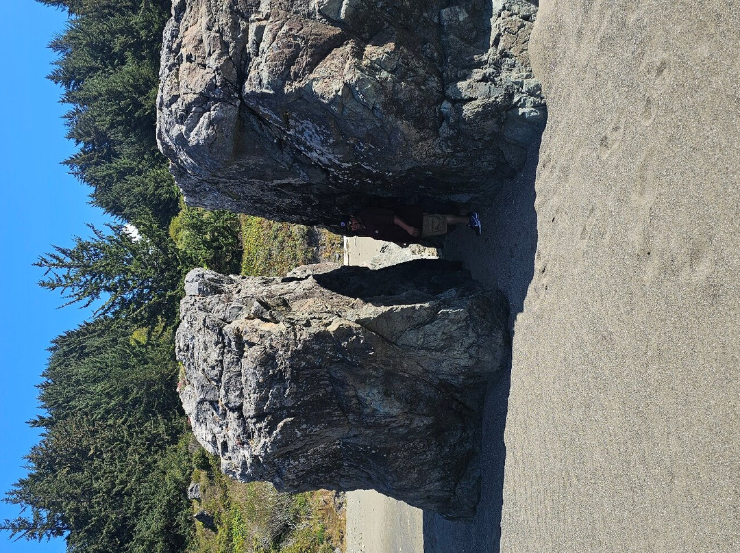 Whaleshead Viewpoint-布鲁金斯必去景点