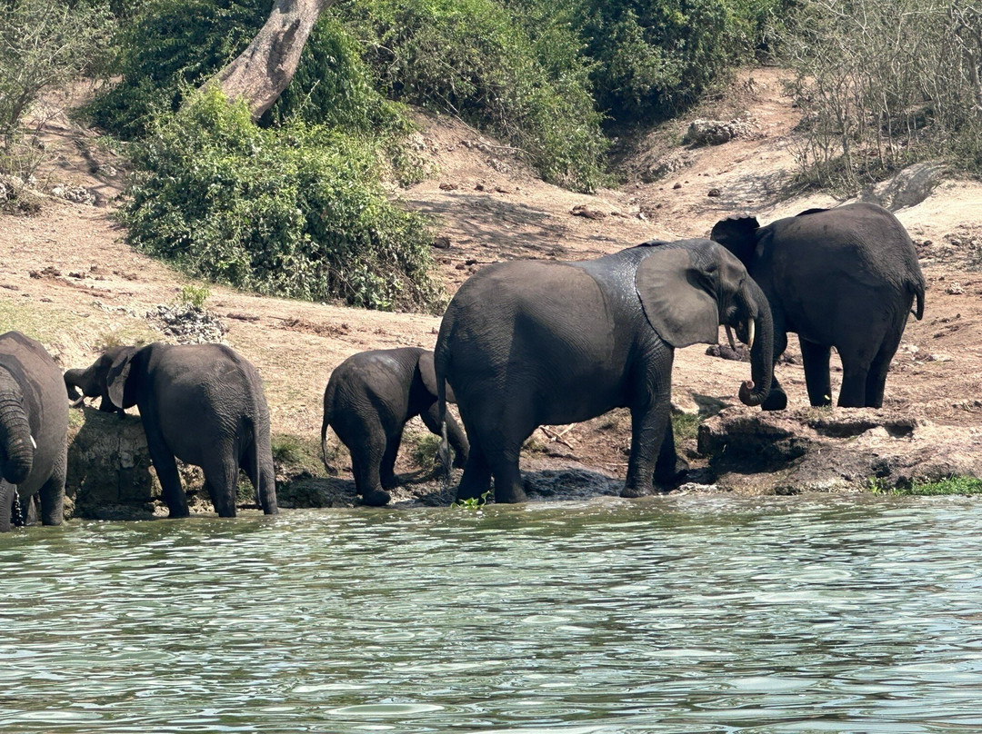 Gorilla Safari Consultants-坎帕拉必去景点