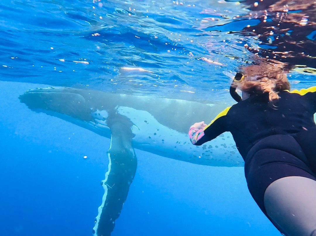 Explore Niue Island Tour-阿洛菲必去景点