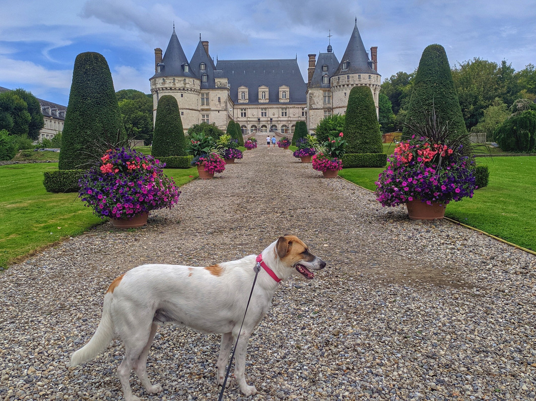 Chateau de Mesnieres景点图片