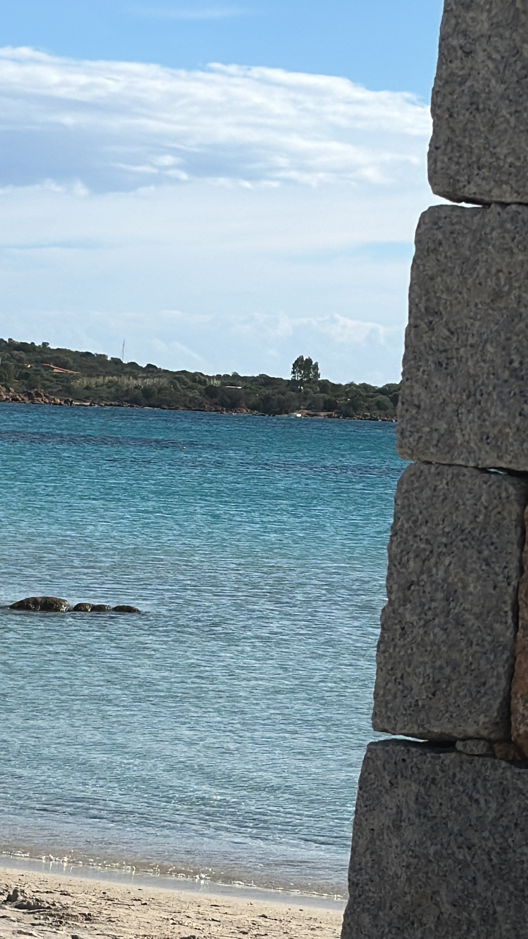 Park Hotel Porto Istana-泳池