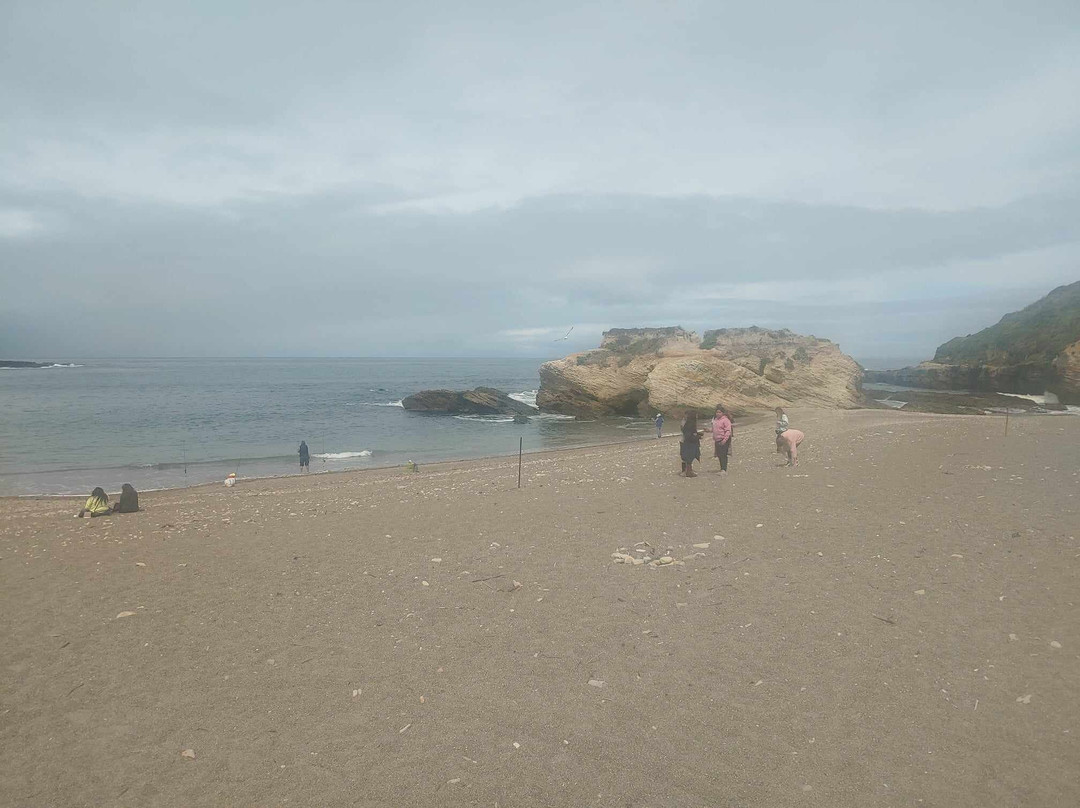 莫洛湾州立公园景点图片