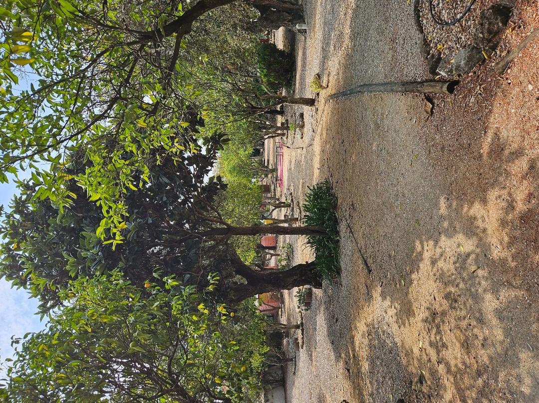 Quinta do Lagar de S. Jose主图