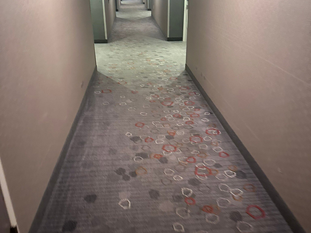 Courtyard by Marriott St. Louis Airport/Earth City主图