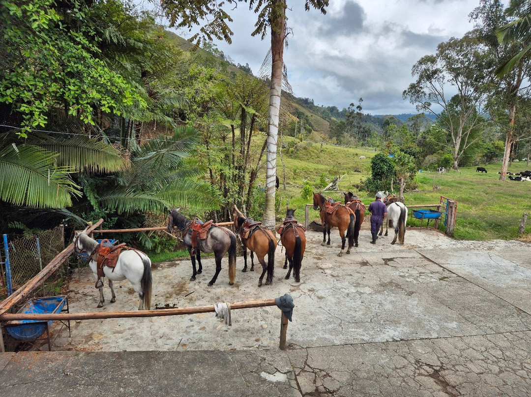 Reserva Guadalajara主图