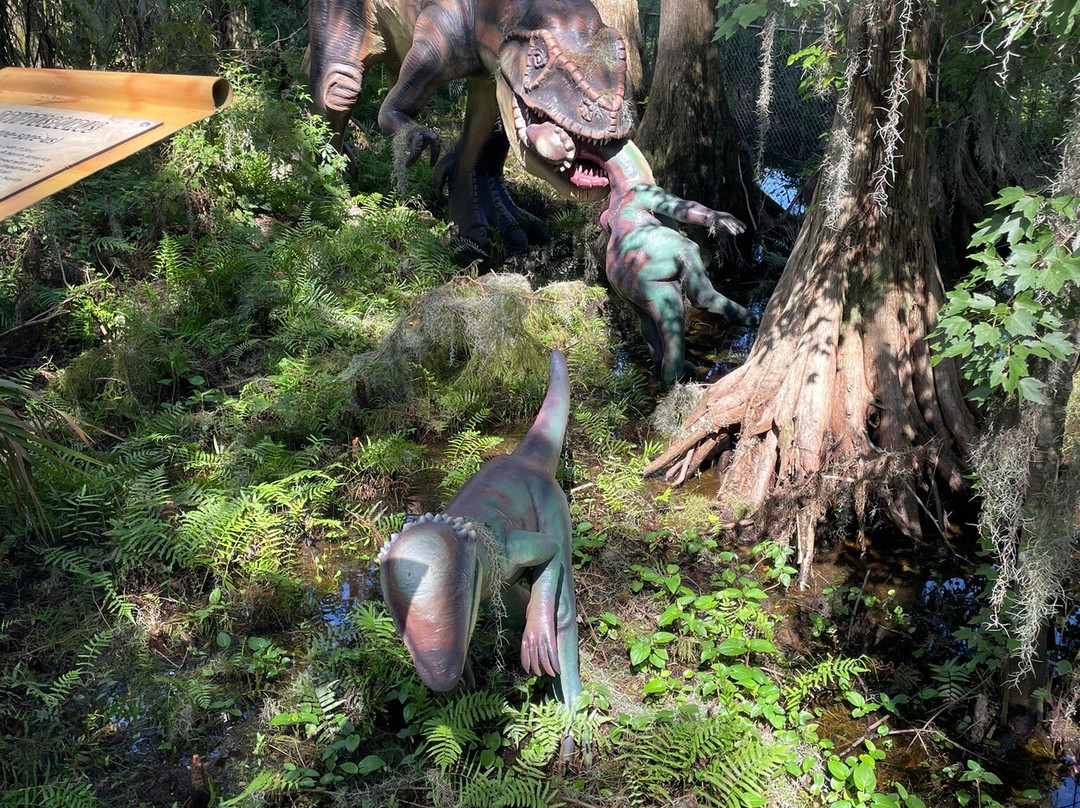 Dinosaur World-普兰特城必去景点