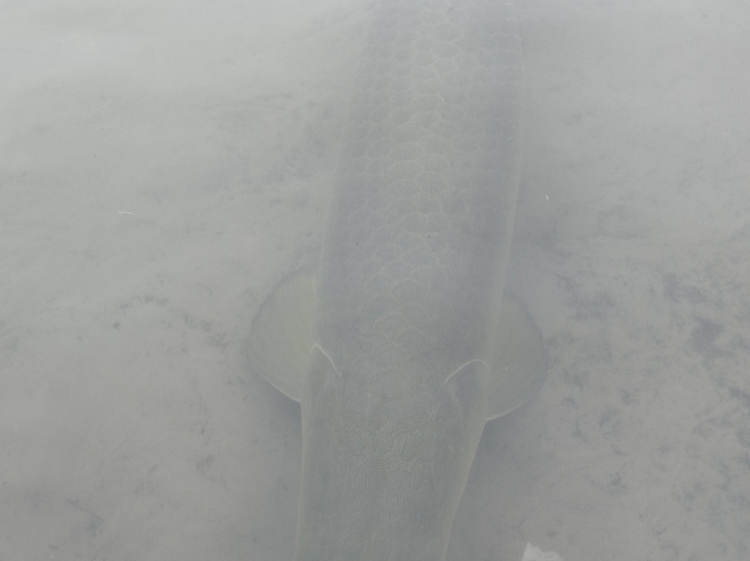 Lago Do Robertinho-Boa Vista必去景点