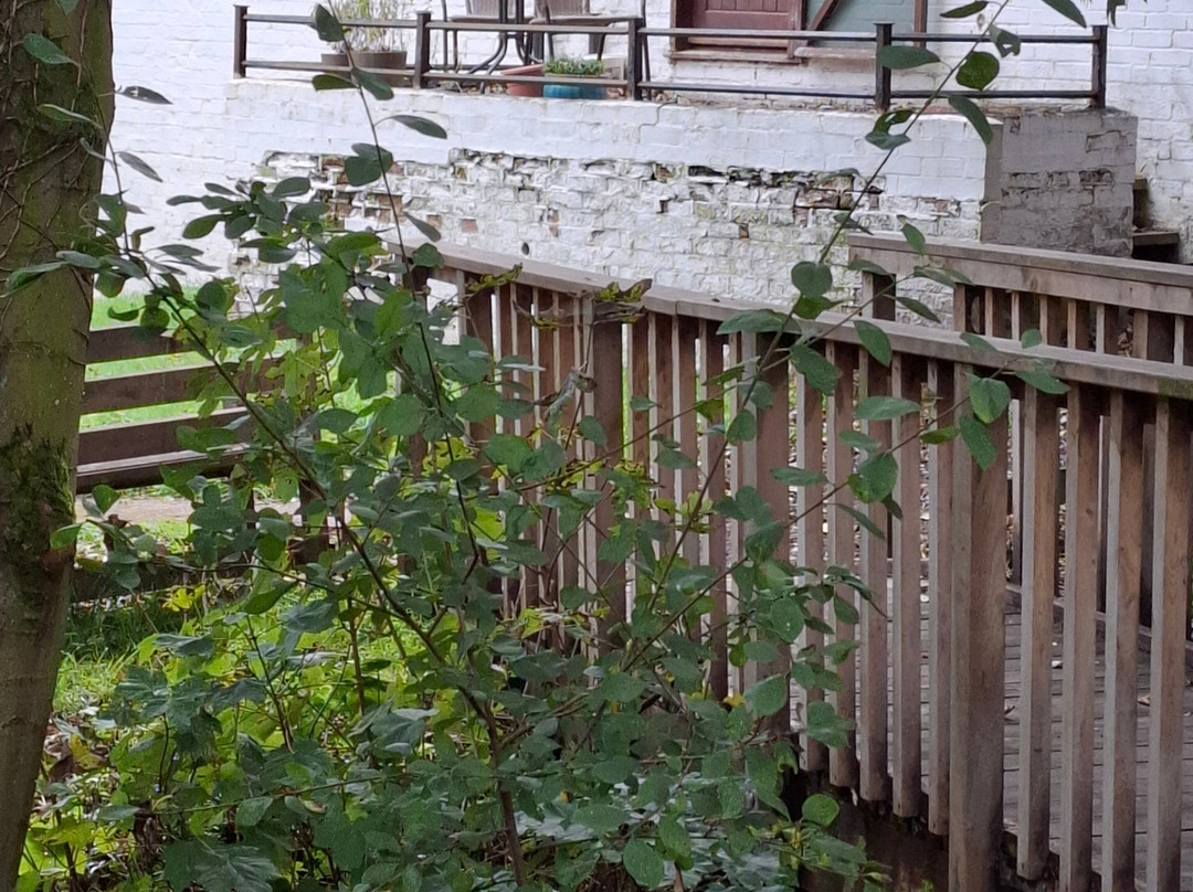 Claythorpe Watermill-Claythorpe必去景点