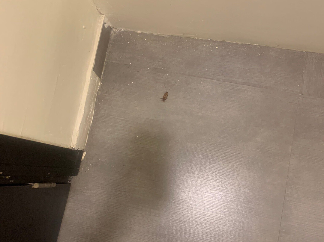 Sinclair Guest House主图