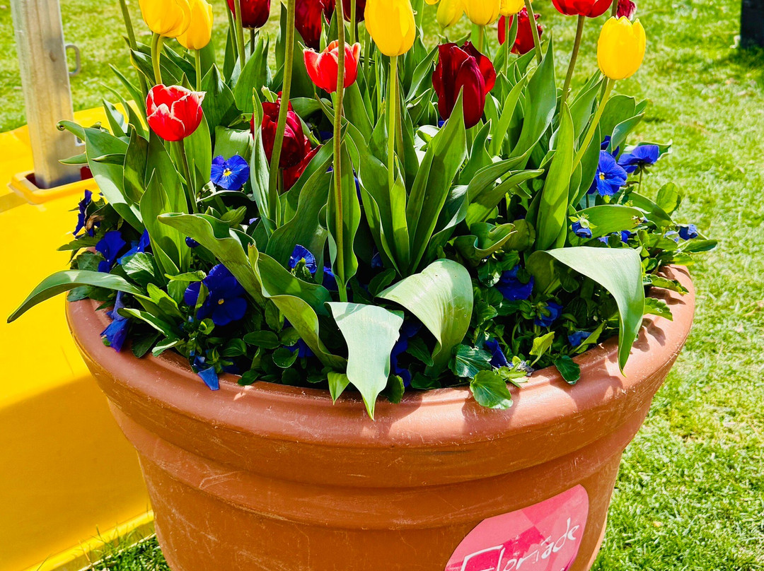 Floriade景点图片