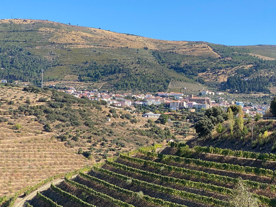 Quinta Vale do Sabor