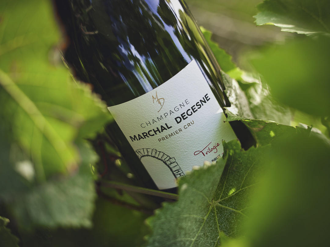 Champagne Marchal Degesne景点图片